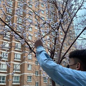 激情亂伦有声小说
